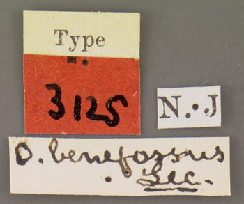 Media type: image;   Entomology 3125 Aspect: labels